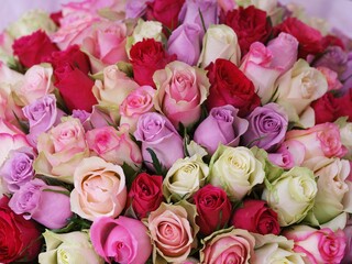 Background of a lot of multicolored roses in a beautiful bouquet.