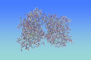 Kaposi's sarcoma-associated herpesvirus protease in complex with allosteric inhibitor. Atoms are shown as spheres with conventional color coding. Rendering based on protein data bank. 3d illustration