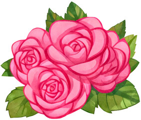 illustration of a pink rose in a watercolor style