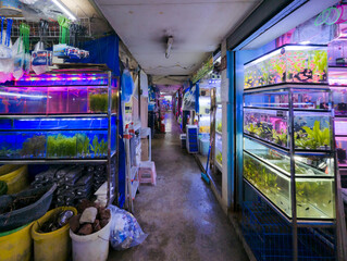 Pasay, Metro Manila, Philippines - Rows of Aquariums and Fish Pet Stores inside Cartimar Center.