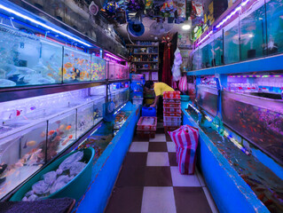Pasay, Metro Manila, Philippines - Rows of Aquariums and Fish Pet Stores inside Cartimar Center.