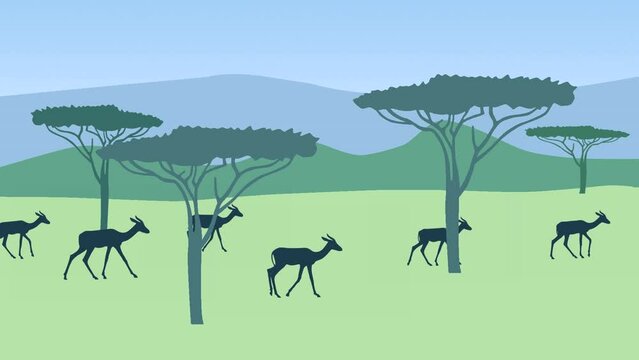 Animation with Mhorr gazelles walking in savanna, seamless loop