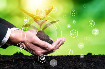 Business investment in reforestation, businessman growing young seedling plant on soil as ESG...