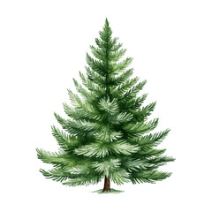 Fototapeta premium Christmas green tree with decor and gift boxes for decoration greeting card watercolor paint on white background