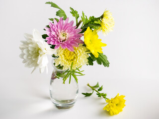 delicate bouquet of multi-colored chrysanthemums on a white background