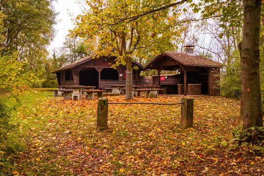 Der B&uuml;ckeberg im Herbst