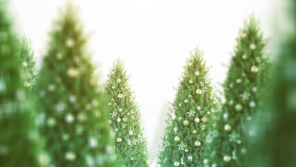 Christmas Tree and Shine Light Seamless Loop. Concept is Passing Christmas tree with shine light and snow fall on white background in a seamless loop. - Powered by Adobe