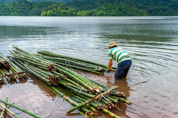 A man is transporting bundles of bamboo plants to shore in Dong Nai province, Vietnam