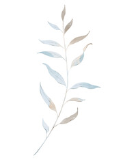 Watercolor floral illustration of winter frozen branch with leaves