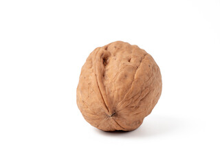 Walnut isolated on white background. Walnut closeup on white.