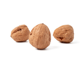 Walnut isolated on white background. Walnut closeup on white.