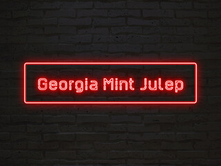 Georgia Mint Julep のネオン文字 - obrazy, fototapety, plakaty