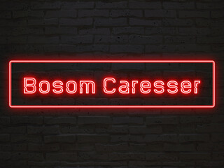 Bosom Caresser のネオン文字