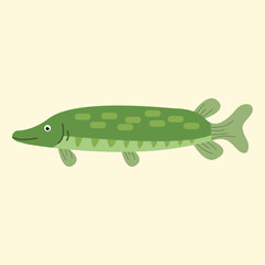 pike. fish. green. catch. fishing. vector. on a white background.