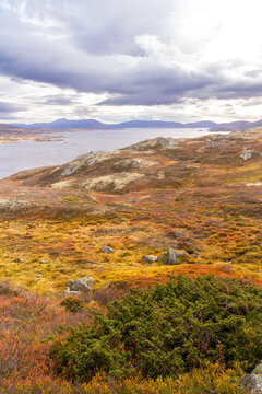 Vinstre is a lake in Innlandet county, Norway.