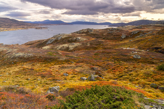 Vinstre is a lake in Innlandet county, Norway.