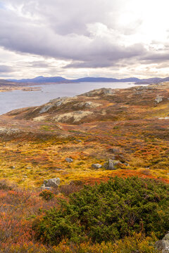 Vinstre is a lake in Innlandet county, Norway.