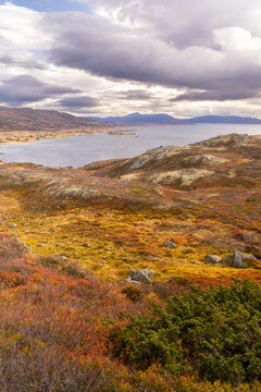 Vinstre is a lake in Innlandet county, Norway.