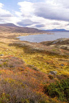 Vinstre is a lake in Innlandet county, Norway.