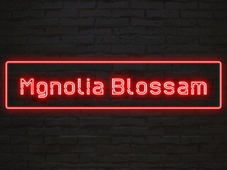 Mgnolia Blossam のネオン文字