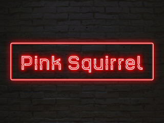 Pink Squirrel のネオン文字