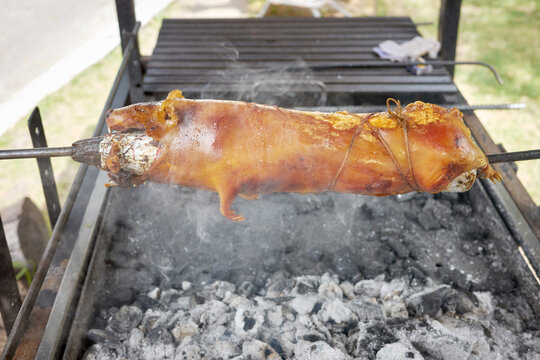 Close up photo of a roasted guinea pig on a grill, selective focus, Ecuador.