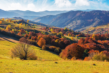 mountainous countryside landscape in autumn season. trees in fall colors on steep rolling hills....