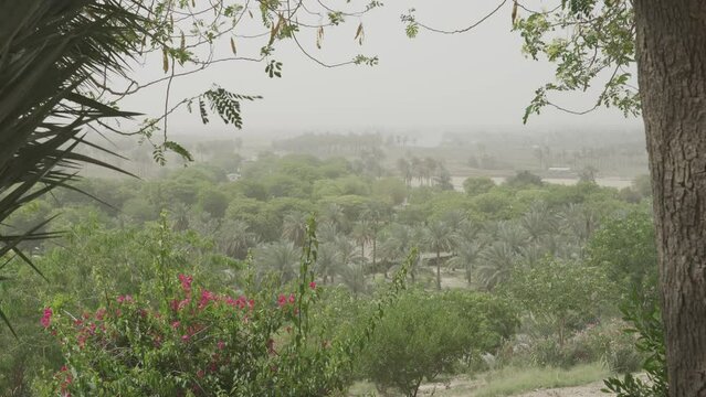 Saddam Hussein Palace Garden, Iraq