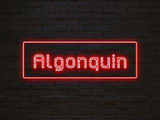 Algonquin のネオン文字