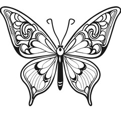 black and white butterfly