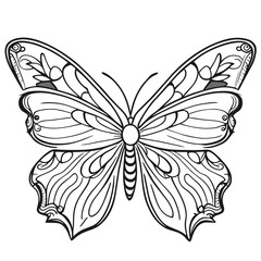 black and white butterfly