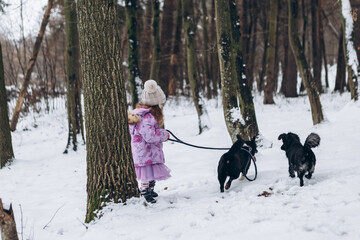 Fototapeta na wymiar Little girl child walking alone with two dogs friends in winter forest city park having fun spending time, wintertime christmas atmosphere 