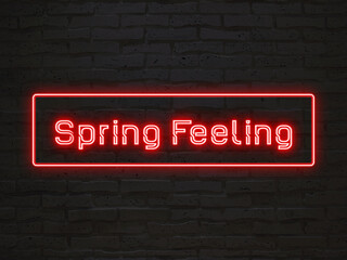 Spring Feeling のネオン文字