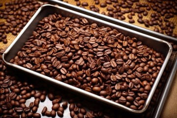 Fototapeta premium flat lay of coffee beans spread on roasting pan