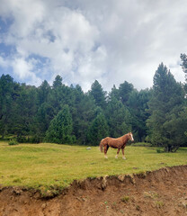 Landscape and nature photography in the province of Huesca, Spain 2023