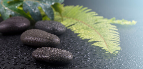 Stacked wet spa stone with green leaf. selective focus.tone image on sunlight