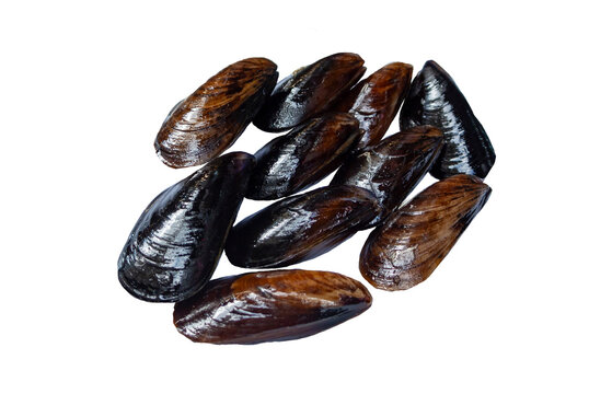 midye dolmasi is stuffed mussels that is a traditional turkish food.  