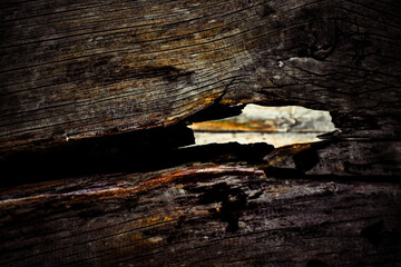 This photograph beautifully highlights the intricate and weathered surface of aged, brown wood.