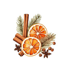 Christmas decor, dried orange slices, cinnamon, vanilla watercolor for greeting card design on white background