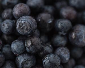 Macro Shot of a collection of frezh blueberries