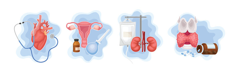 Medical Supplies and Internal Organs Vector Composition Set