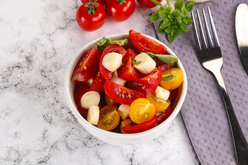 Italian Caprese salad with tomato and mozzarella