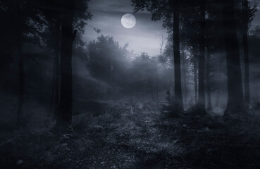 horror forest at night with full moon in the sky - 671007838