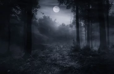 Fotobehang horror forest at night with full moon in the sky © andreiuc88