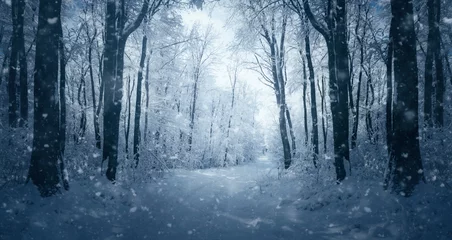 Foto auf Acrylglas fantasy winter landscape, snow falling on forest road © andreiuc88