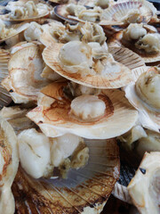 The glistening glaze on the grilled scallops reflects pure culinary delight.  