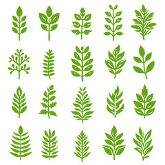 Green leaf icons set. Leaves icon on isolated background. Collection green leaf. 