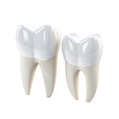 tooth isolated on transparent background Remove png, Clipping Path