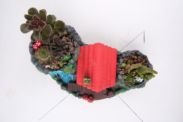 terrarium with meat in pot. Florarium vase filled with plants. A small garden full of miniature...