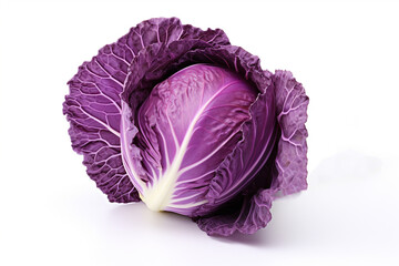 Obraz premium Cabbage
